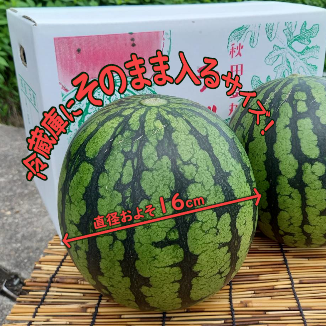 メルカリ出品500回記念 秋田県産スイカ夏丸　6キロ２玉　市場出荷品