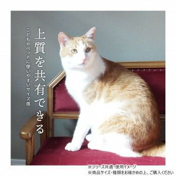 B.Bファニシング