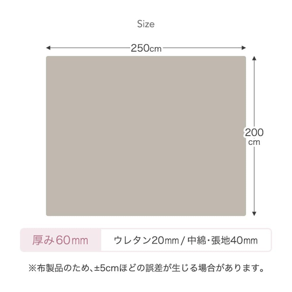 タンスのゲン ラグ 3畳 200×250cm 厚60mm とろける肌触り 細マイクロファイバー 高反発ラグ 厚手 抗菌 防臭 防ダニ ラグマット 滑り止め カーペット 北欧 おしゃれ 65010010 80560