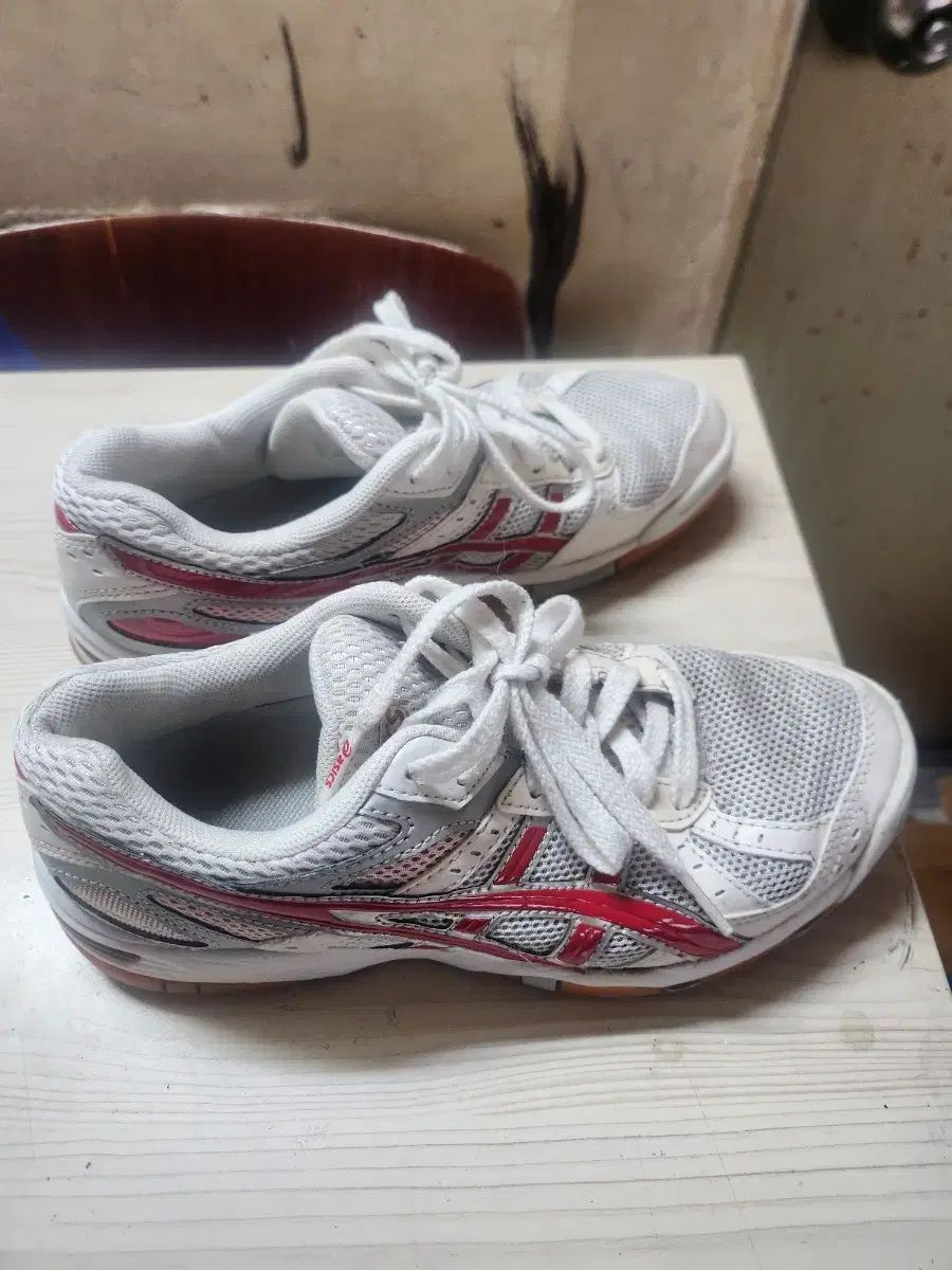 asics アシックス 宝くじ fl5 バレーボール バドミントン スポーツ大学入試 230