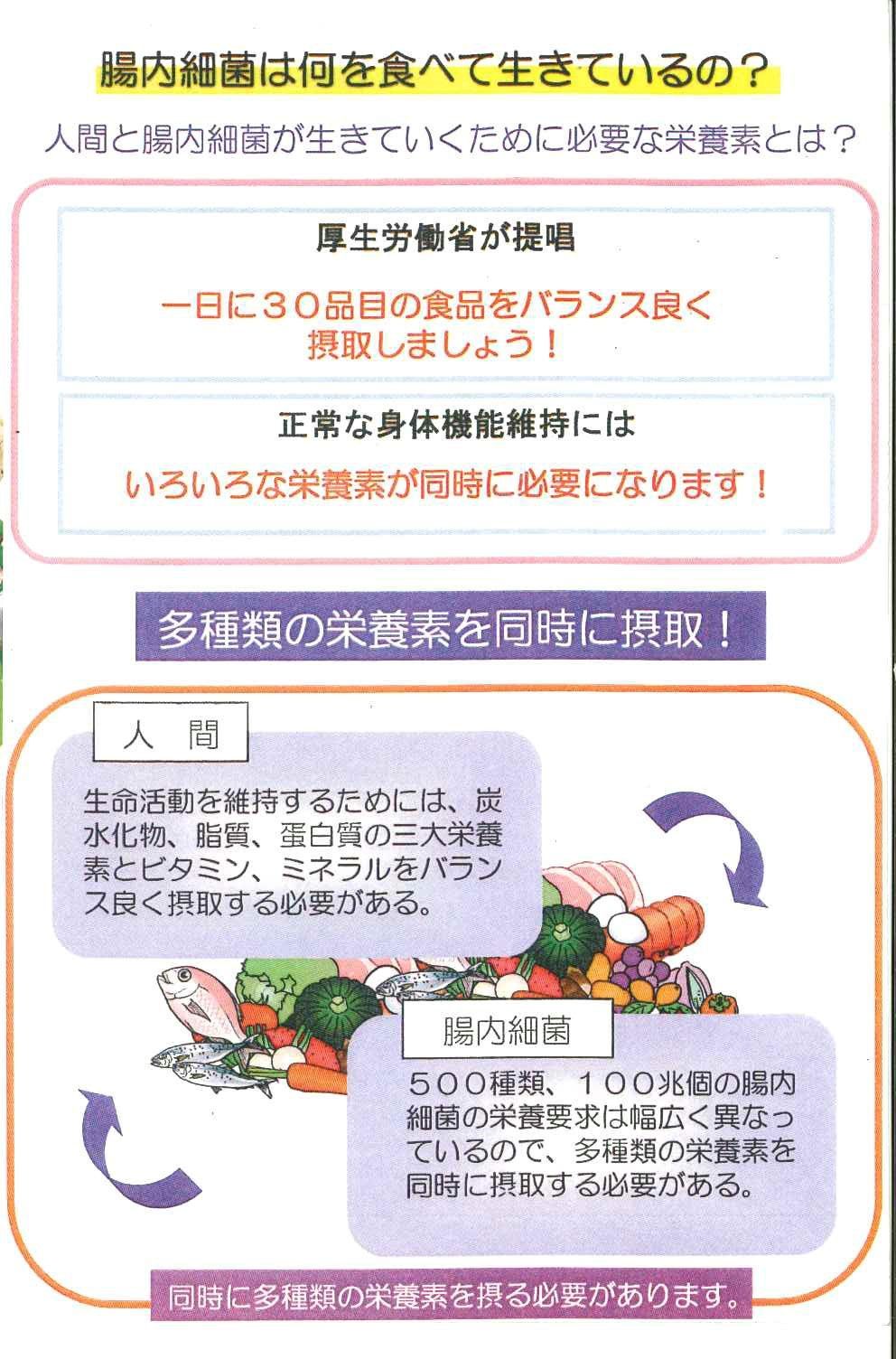 オメガ３クルクミンコッカスx２瓶set・アドバンス・(会員特価ページ案内・下記) オメガ3クルクミンコッカスx2瓶セット・アドバンス腸内細菌食品