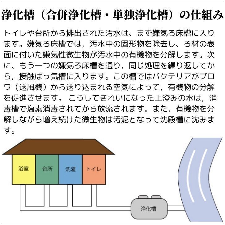 浄化槽用保守メンテナンス用バクテリア製剤 ROEBIC K-37JD 946ml