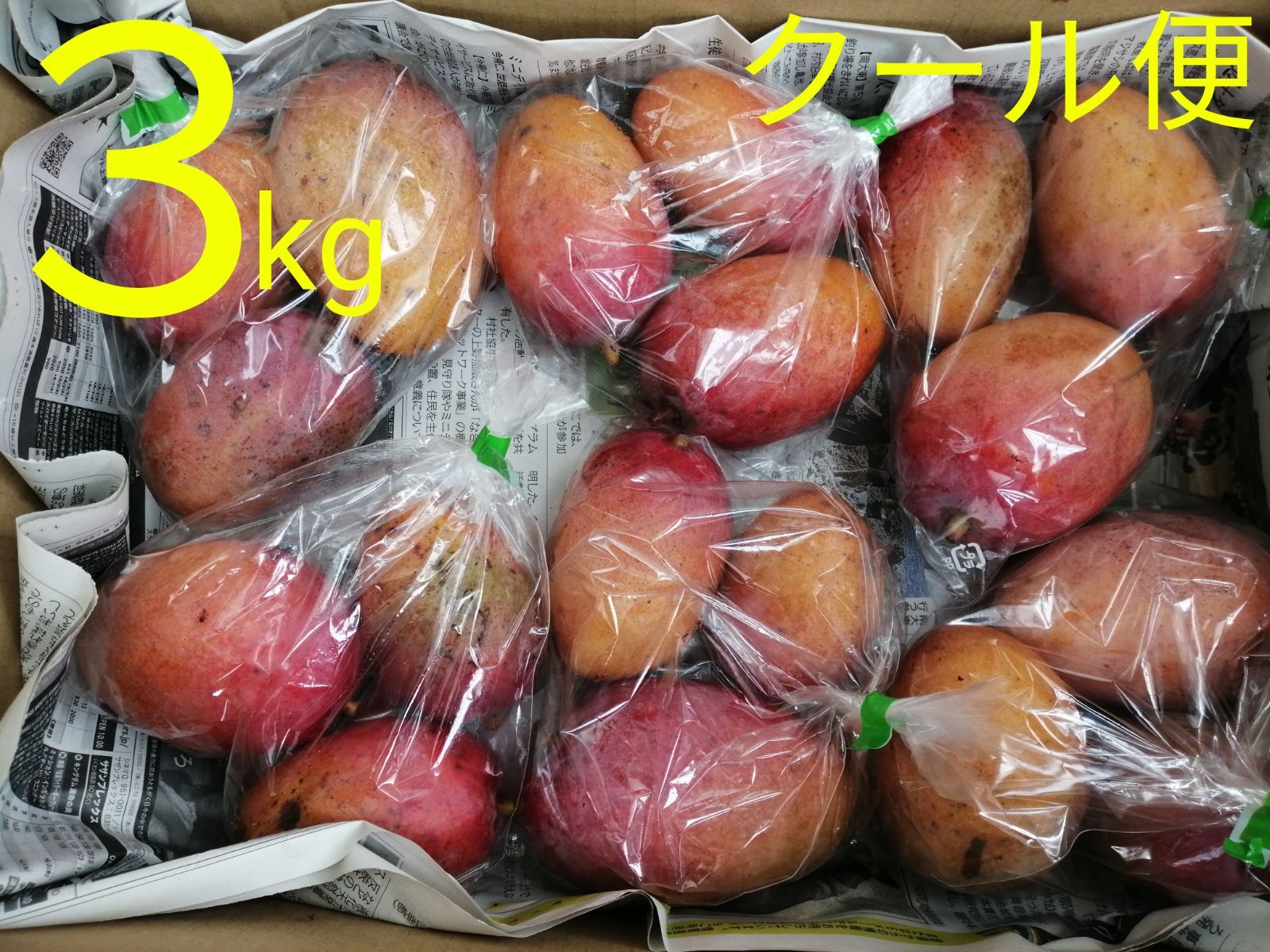 無農薬　沖縄ミニマンゴー　3.2kg