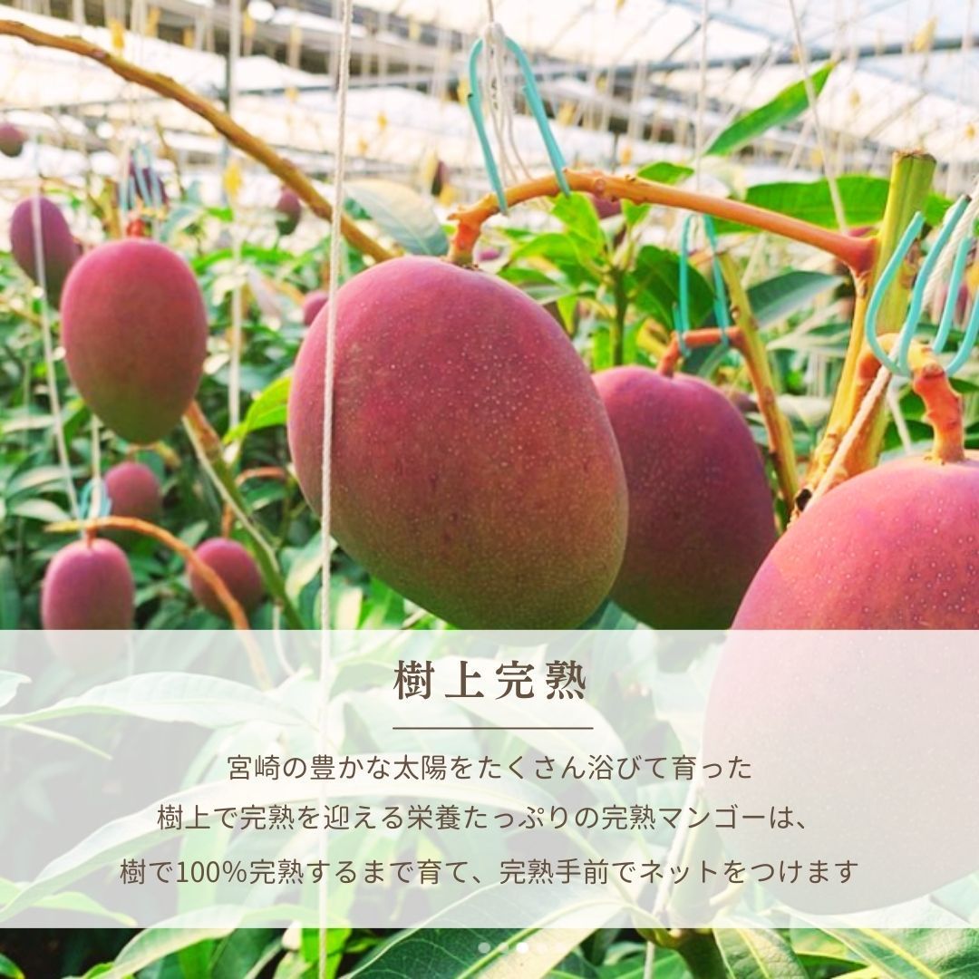 3L 2個