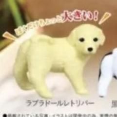 振り向けば君が犬またねガチャガチャ可愛い人形フィギュアわんこ