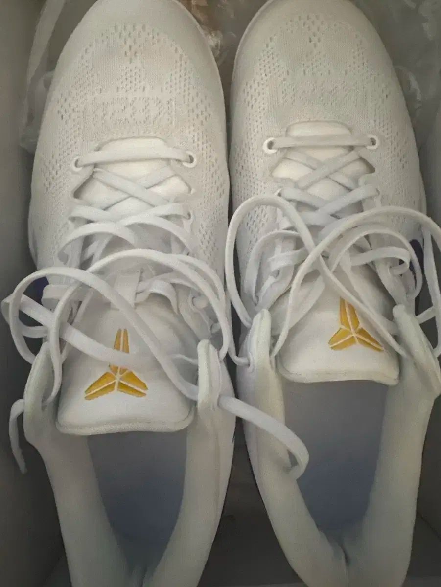 コービー 8 プロトロ