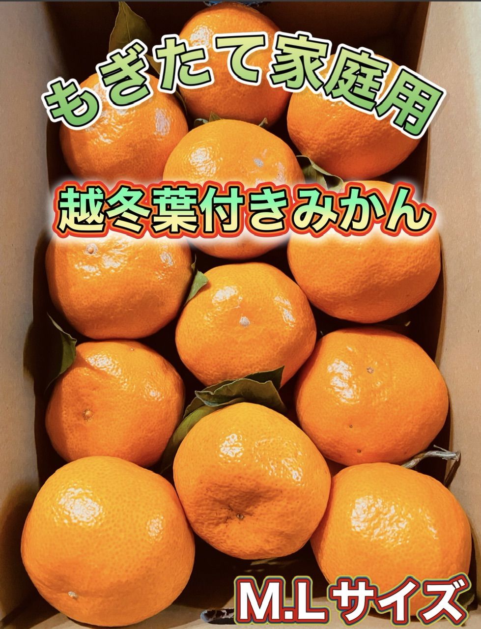 68％以上節約　甘い!小さいサイズ!　由良早生　最高級　有田みかん1kg　小玉の天使のみかん　リール