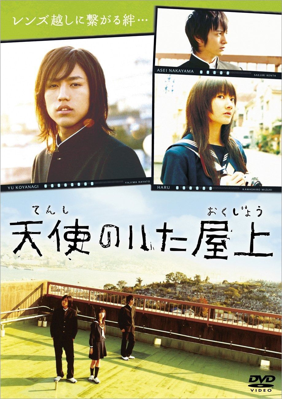 天使のいた屋上 DVD