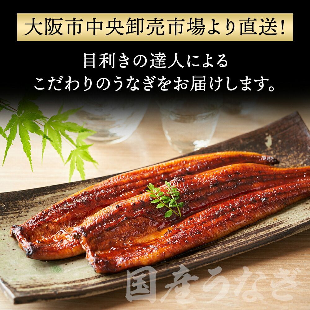 特大国産うなぎ200g×2尾 市場直送 父の日 関西焼き 高評価 国産 特大 うなぎ蒲焼き 関西焼き うなぎ 特大サイズ 鰻 ウナギ 国産うなぎ 国産鰻 国産ウナギ 特大 蒲焼 うなぎ蒲焼 うなぎの蒲焼き かば焼き 蒲焼 お取り寄せグルメ