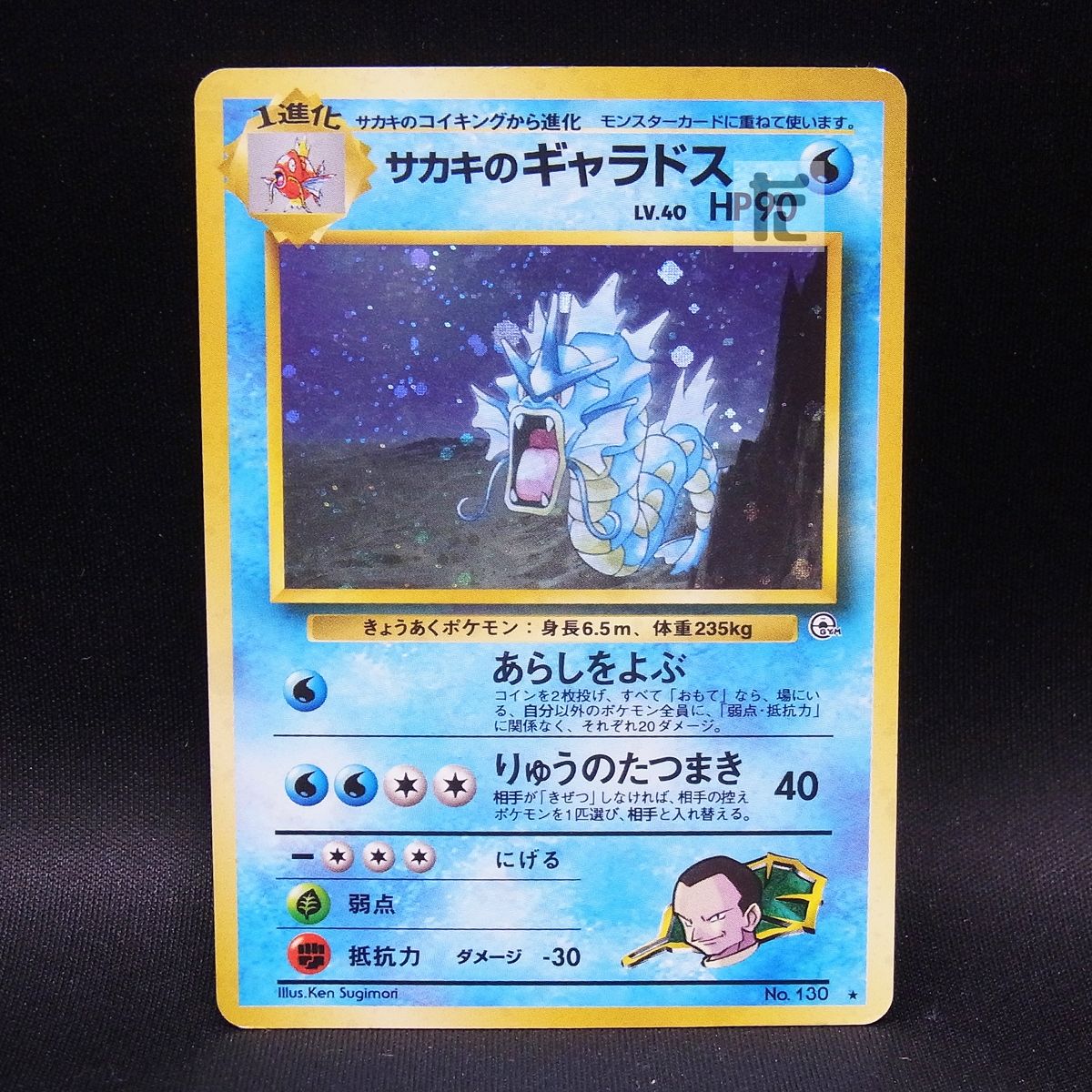 サカキのギャラドス LV.40 / TA23394 - メルカリ