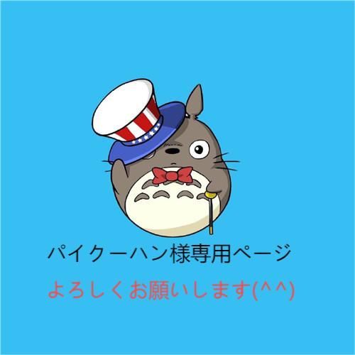 パイクーハン様専用ページ - メルカリ