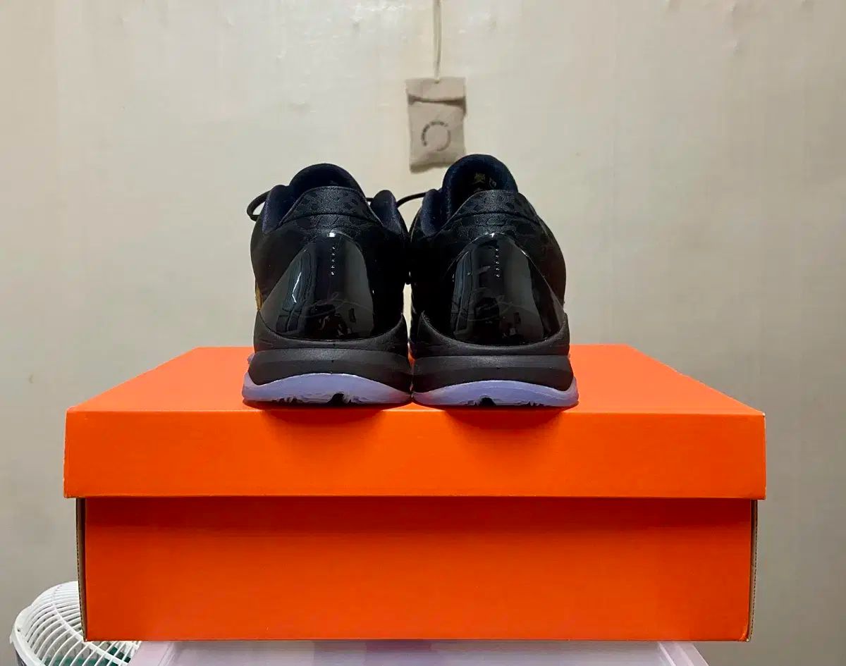 275 NIKE(ナイキ) コービー 5 プロトロ バスケットシューズ