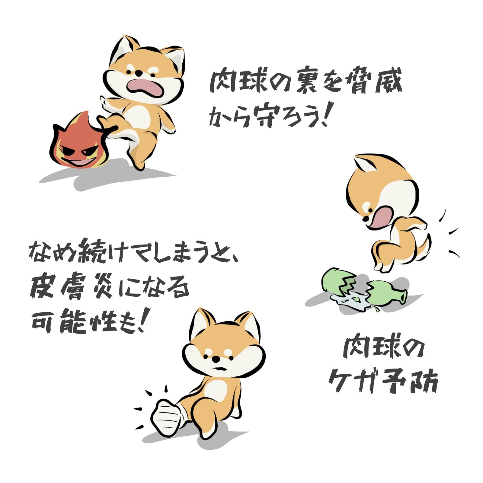 わんちゃん 数量限定】WICKEDPUP ワンちゃんの靴、48枚入、6色ミックス、XS