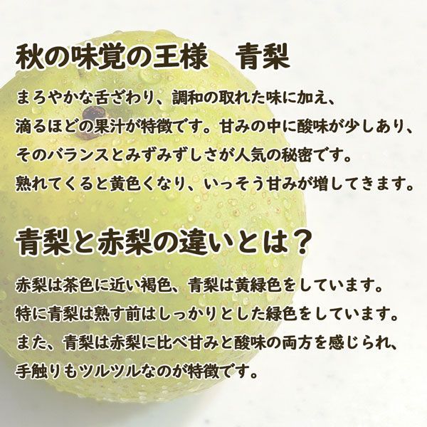 鳥取県産