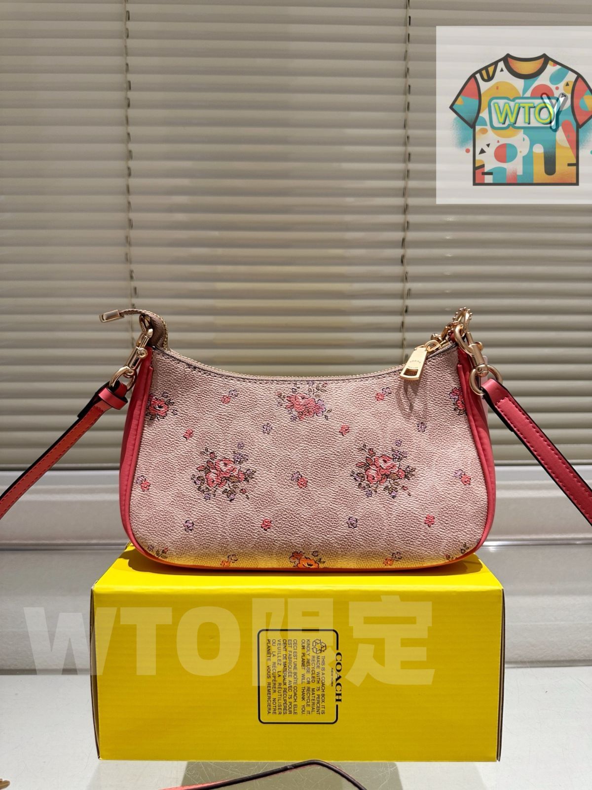 今日 COACH Teri ショルダーバッグ アンダーアームスタイル -WTO輸入1