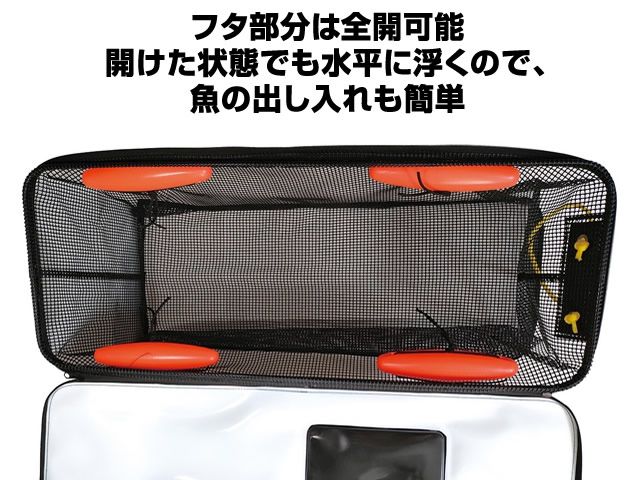 イカ釣り 釣り
