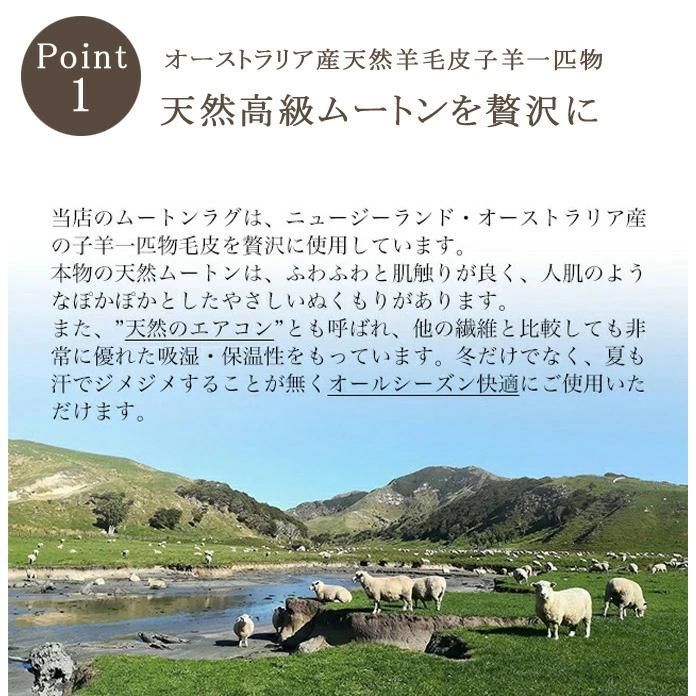 本革 あったか