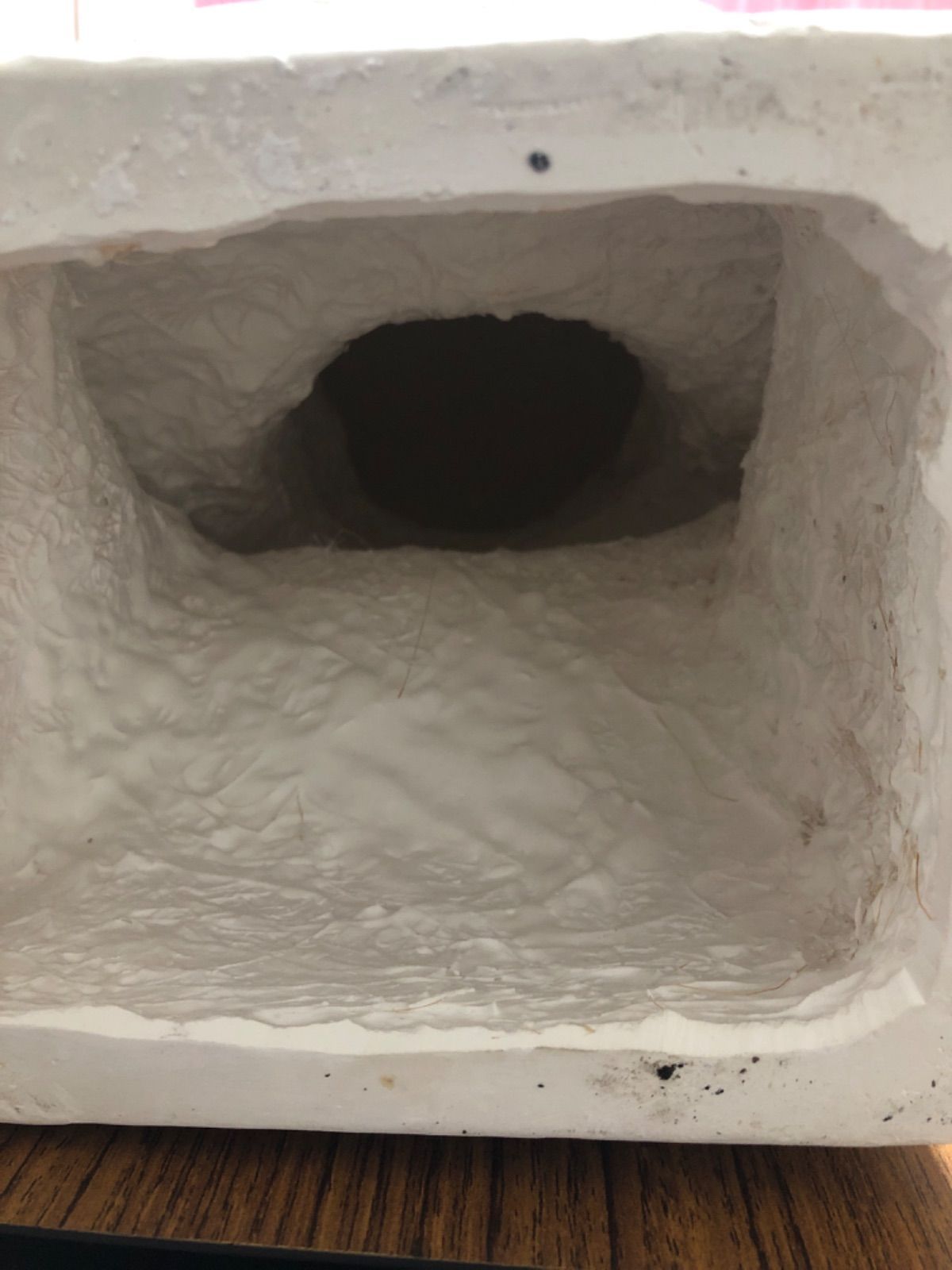 石膏像 アグリッパ デッサン 彫刻 （M-421 アグリッパ半面