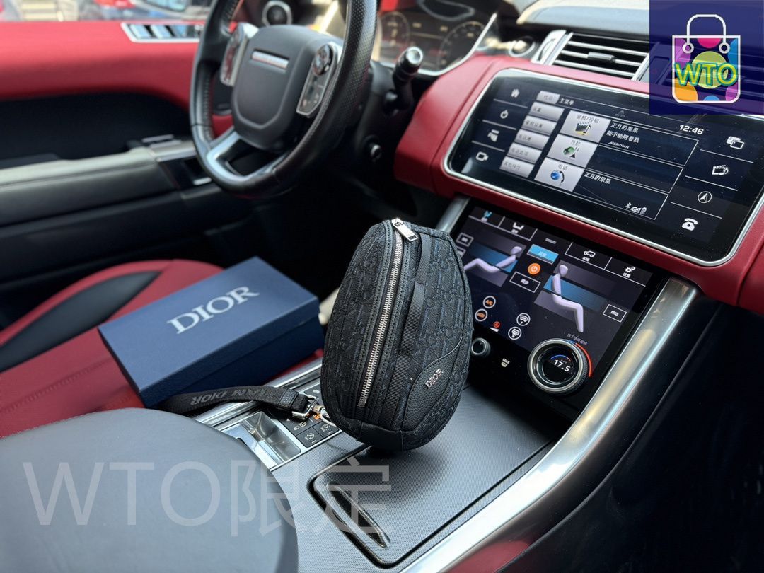 今日 DIOR Scarab オブリークプリントショルダーバッグ 送料無料で今の在庫は な価格です