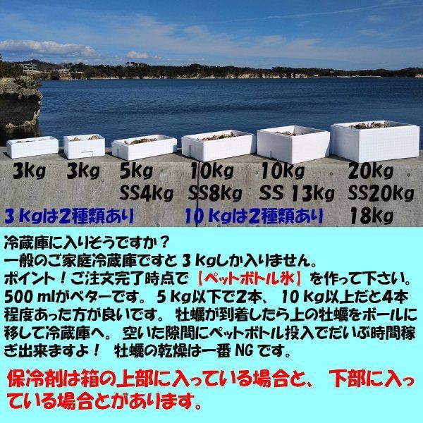 牡蠣 ＳＳ８ｋｇ【約160粒】 8キロ 殻付き 牡蠣 殻付き 牡蛎 松島牡蠣屋-8