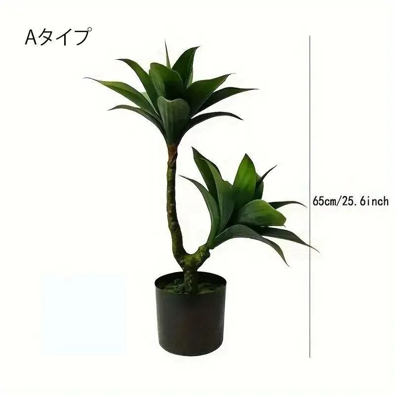 お洒落