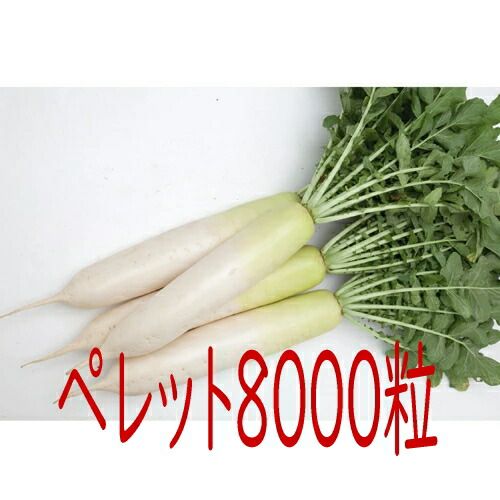 入荷次第出荷 カネコ種苗 春大慶 ＫＡＤ－２０１Ｂ 大根 ８０００粒