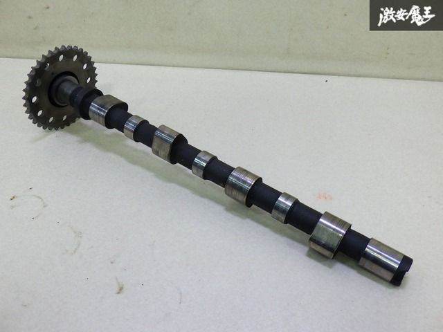 かむかむスルメイカ 14cm スルメイカ ムギイカ