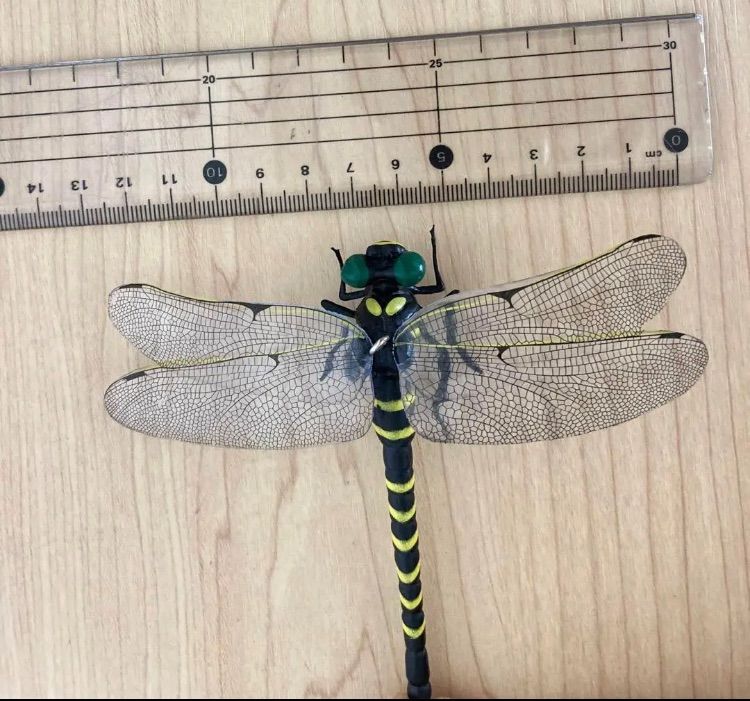 超リアル　12cm オニヤンマ　おにやんま　オニヤンマ君　オニヤンマくん　とんぼ　虫除け