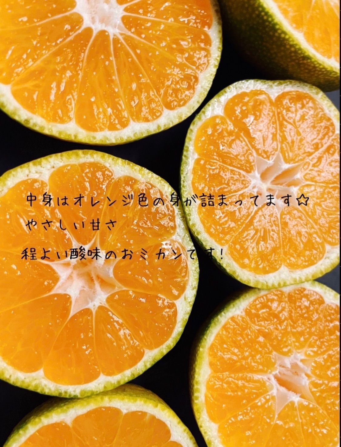 のサムネイル