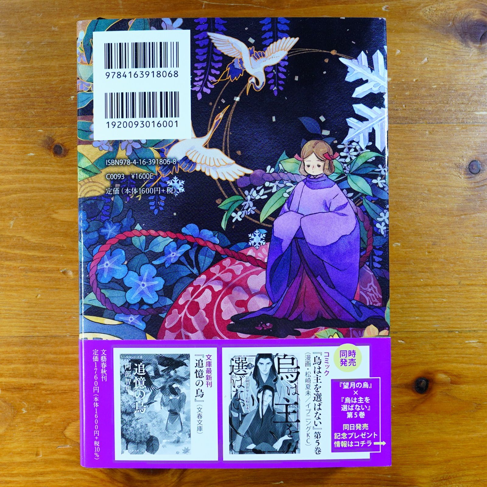 八咫烏シリーズ　望月の烏　他　11冊セット 91lhgZAbKKL._UF350,350_QL50_.jpg