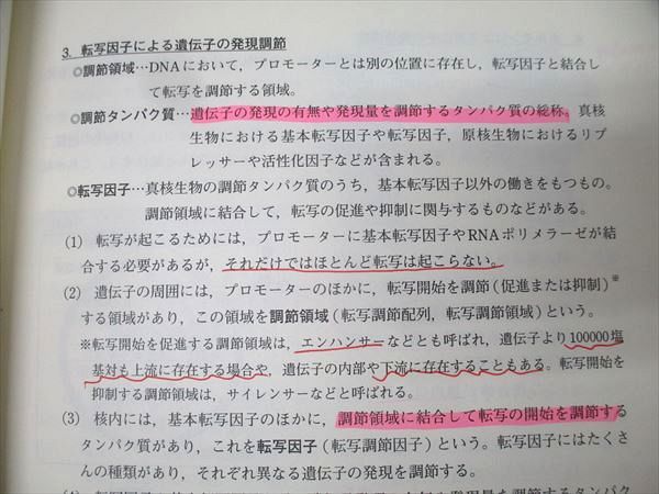 東進 ハイレベル生物 PART1/2 Vol.1/2 テキスト通年セット 2013