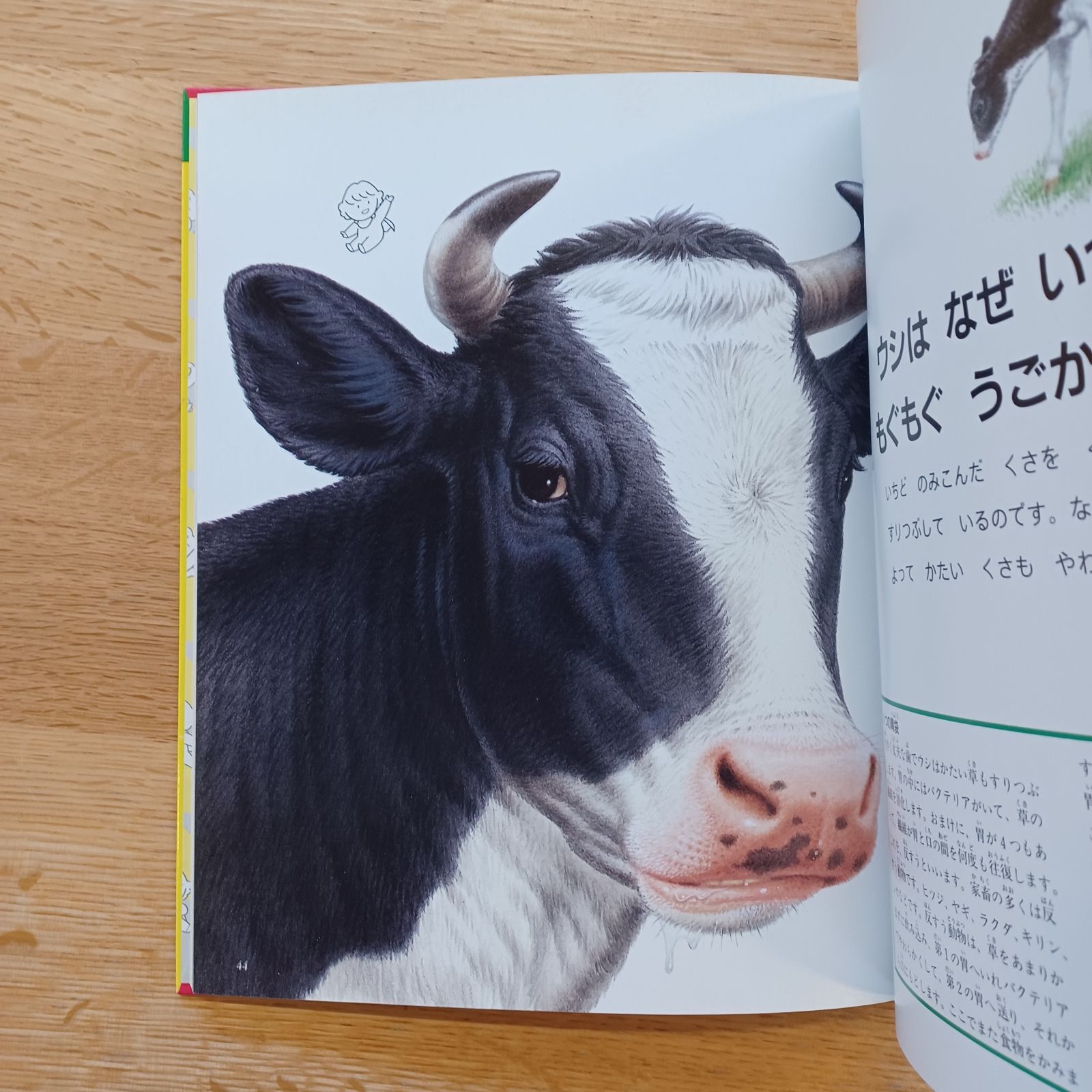 なぜなにブック　22巻　日本学校図書 なぜなにブック 22巻 日本学校図書