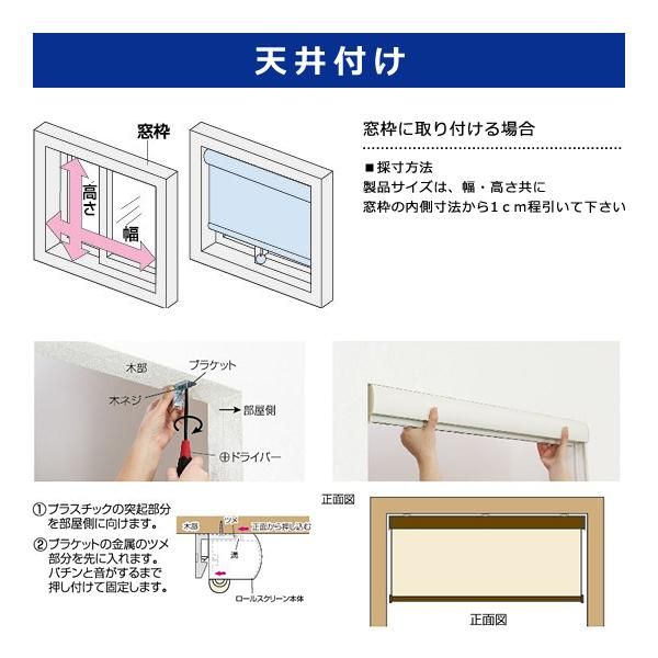 天井付け