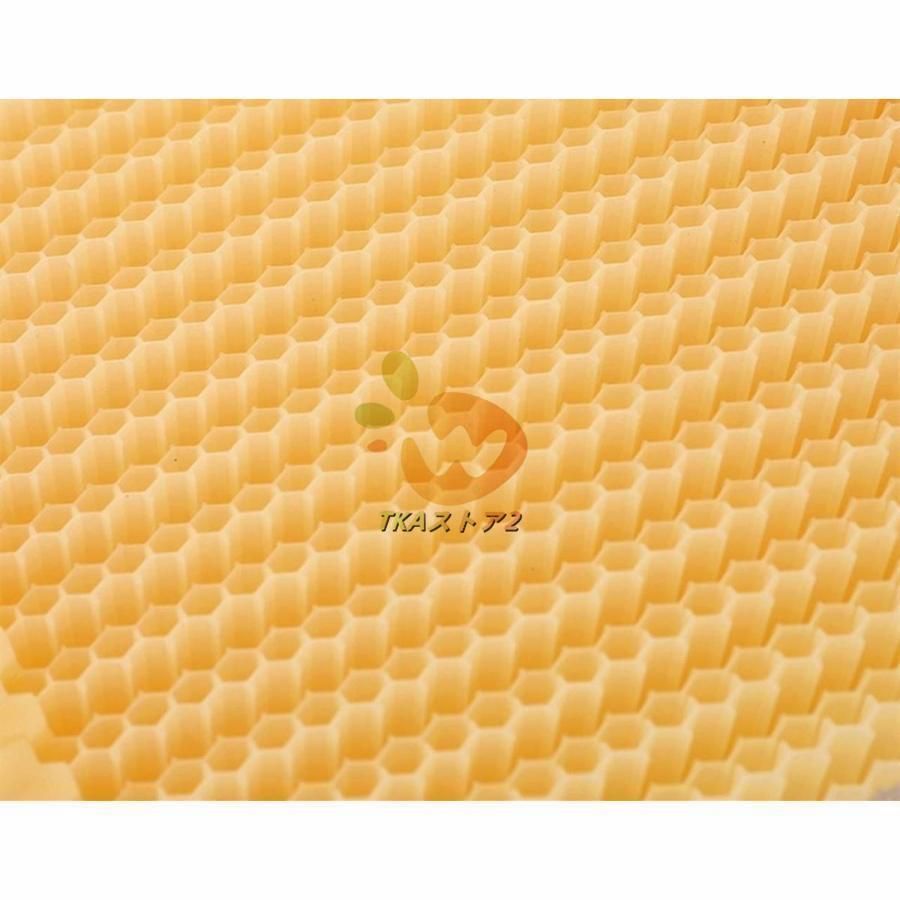 杉木 自動流れの蜜蜂