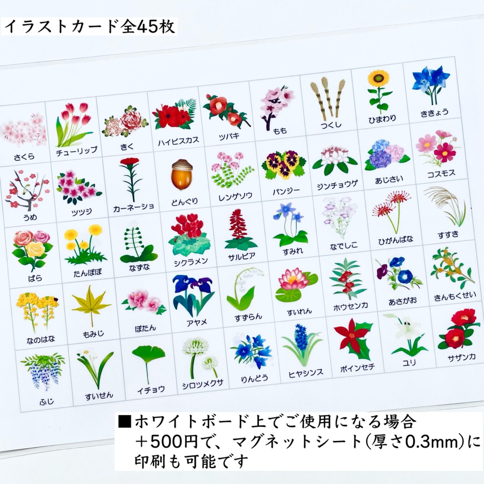 季節の花のお勉強 小学校受験教材 幼児教育 - 知育玩具