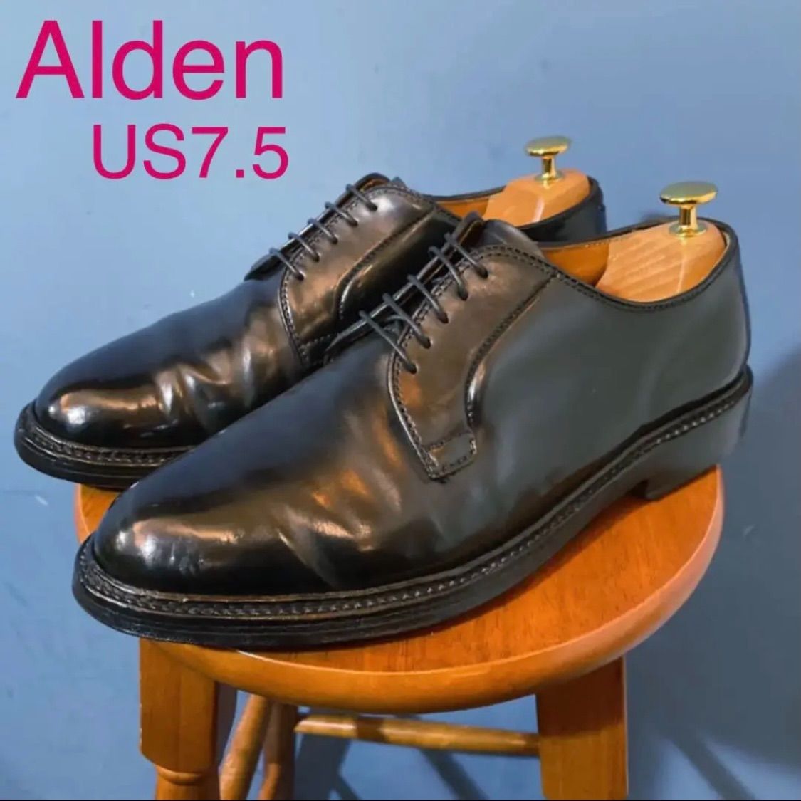 Alden オールデン　コードバン　プレーントゥ　9901 US7.5