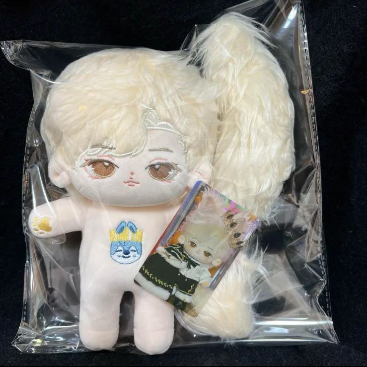 stray kids バンチャン　ぬいぐるみ　20cm 人形　マスター Amazon.co.jp: stray kids バンチャン ぬいぐるみ 20cm マスター