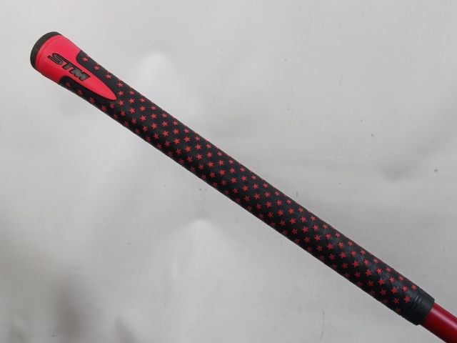 PG HYBRID55