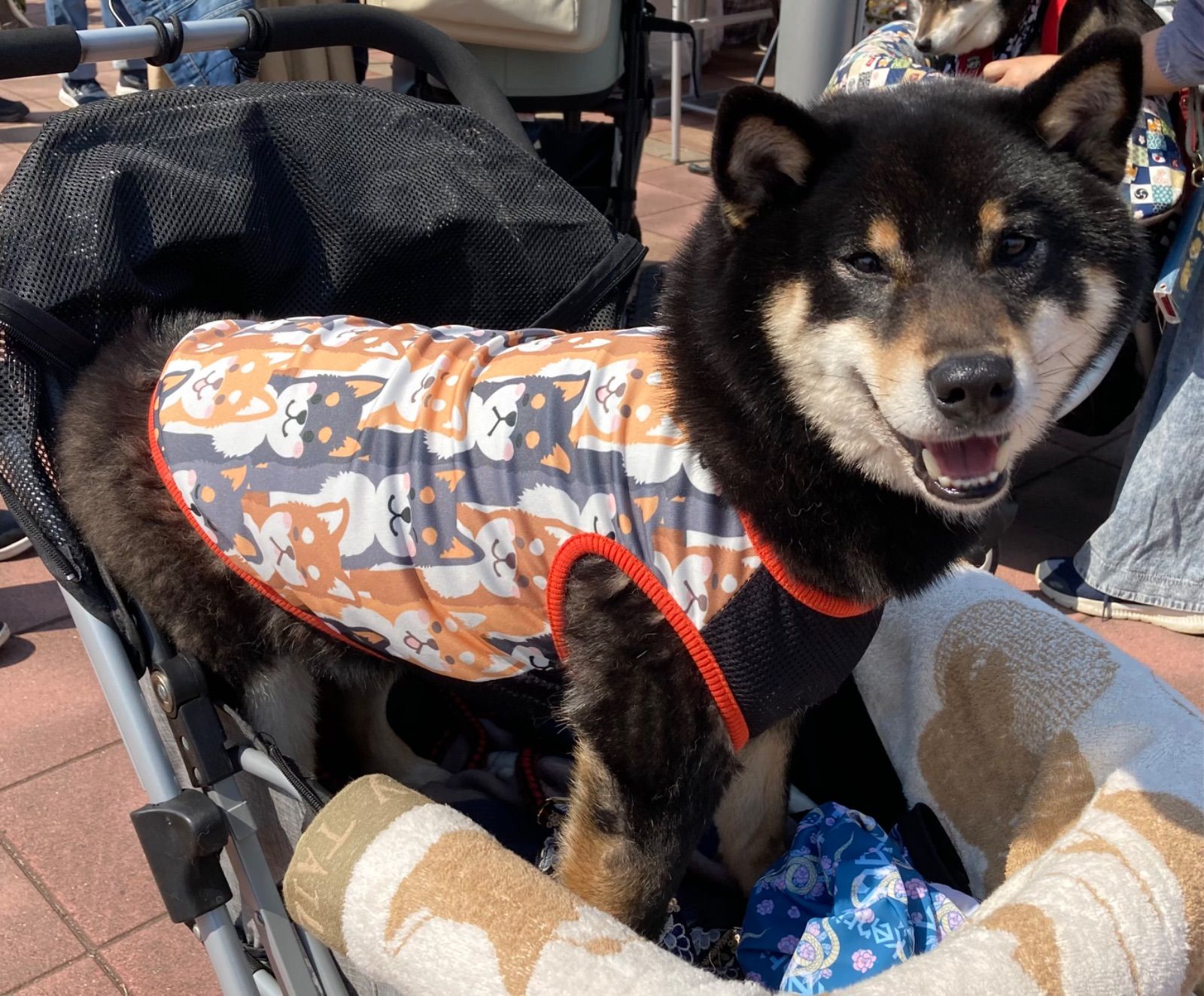 柴犬タンク・ハンドメイド犬服 犬の洋服 オーダーメイド 柴犬 豆柴