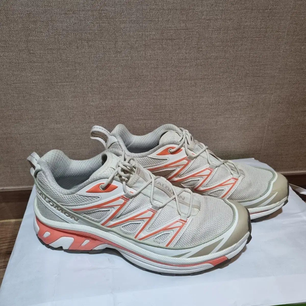 SALOMON サロモン xt ー 6 エクスペンス 250