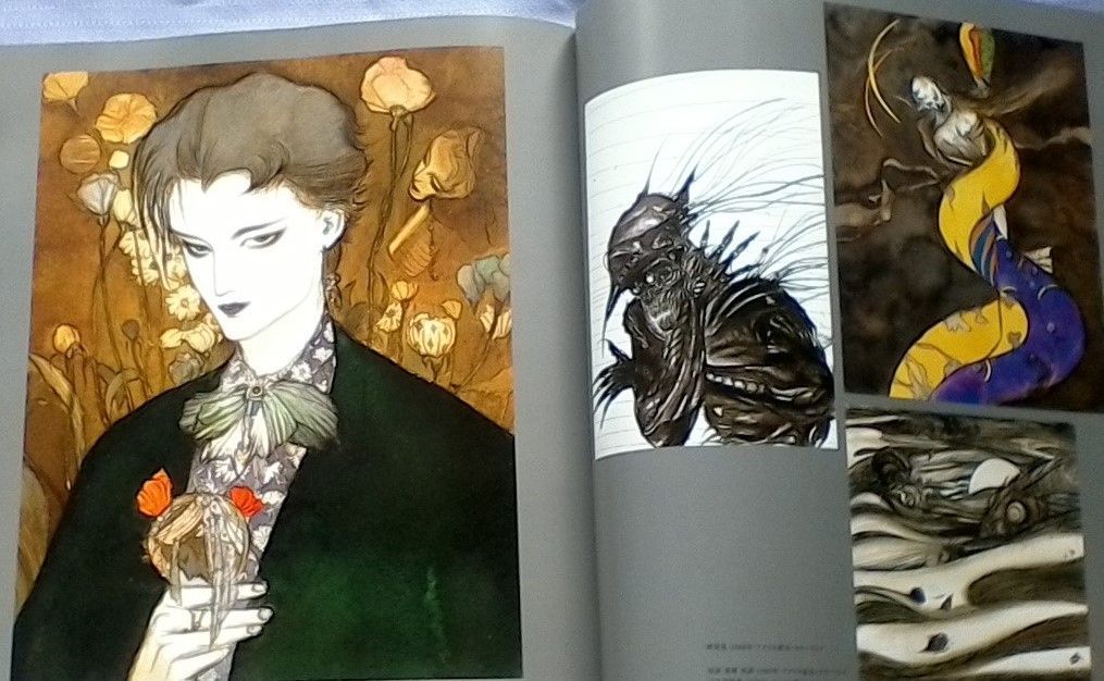 THINK LIKE AMANO 天野喜孝 画集 洋書