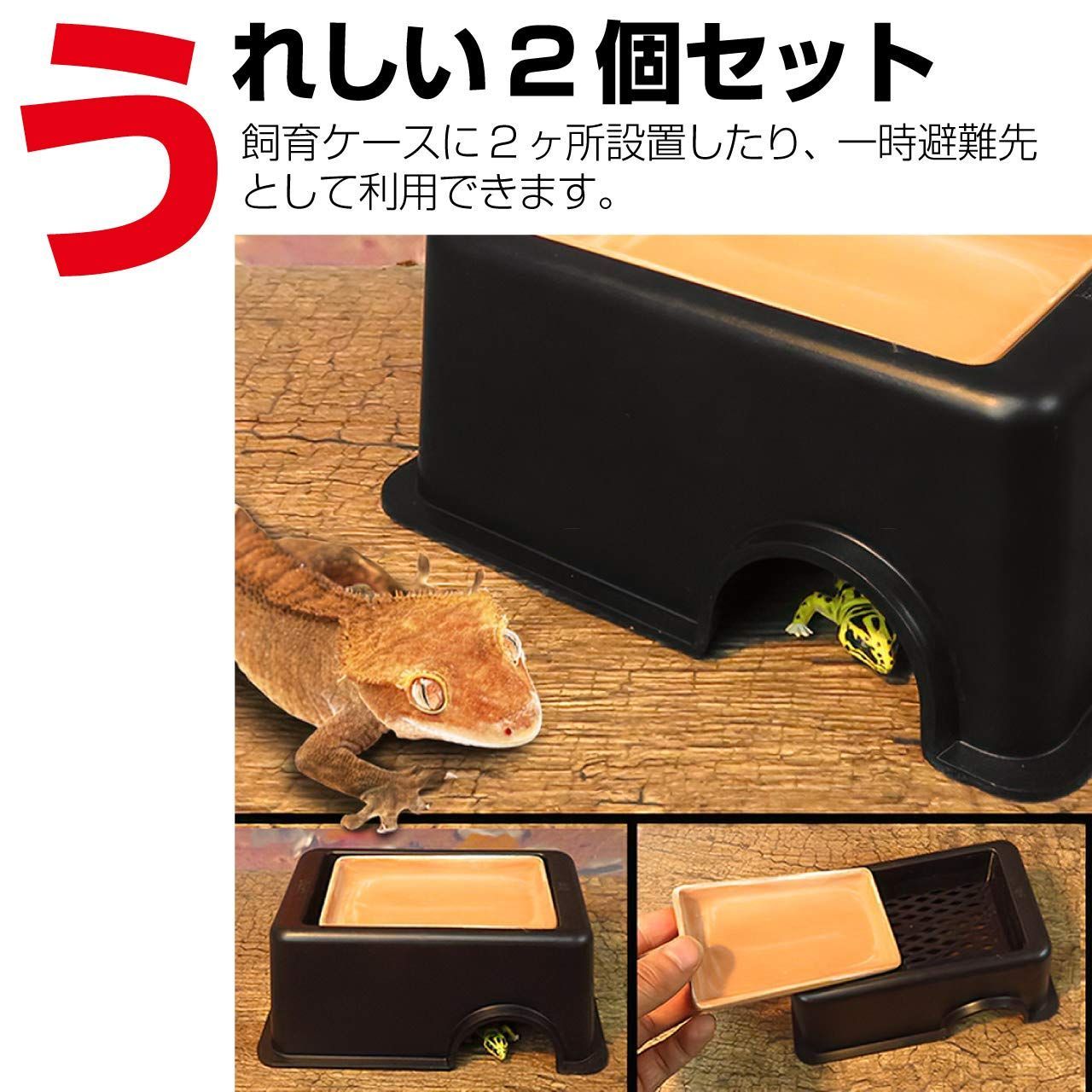 オリジナル陶器シェルター(隠れ家) Amazon | ECONUS 爬虫類 隠れ家 シェルター ハウス 両生類 保湿
