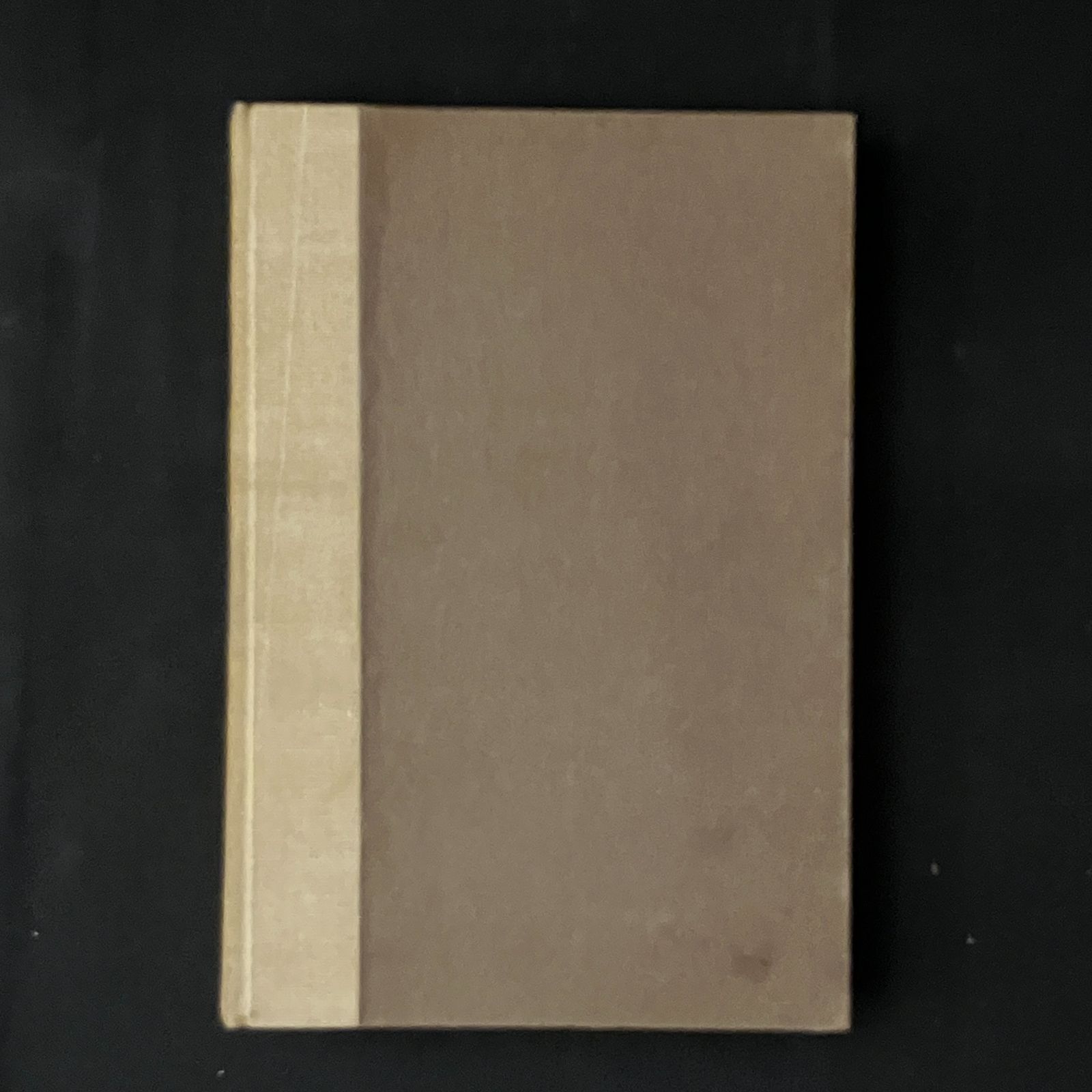 どこか実のある話 岡本一平 著 磯部甲陽堂 大正11 268p 岡本太郎の父