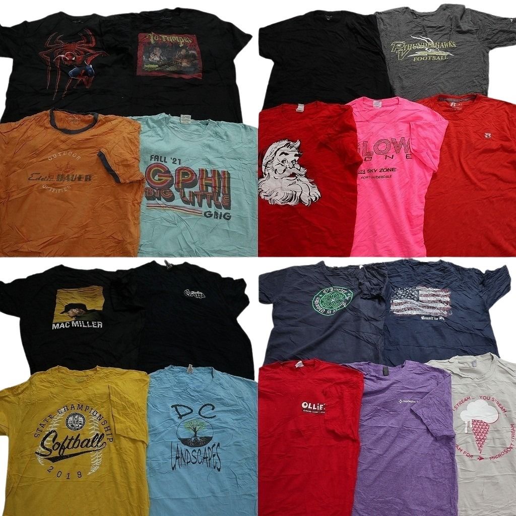 古着卸 まとめ売り カラーmix プリント 半袖Tシャツ 18枚セット (メンズ L ) リンガー スパイダーマン マーベル エディーバウアー  MU5056