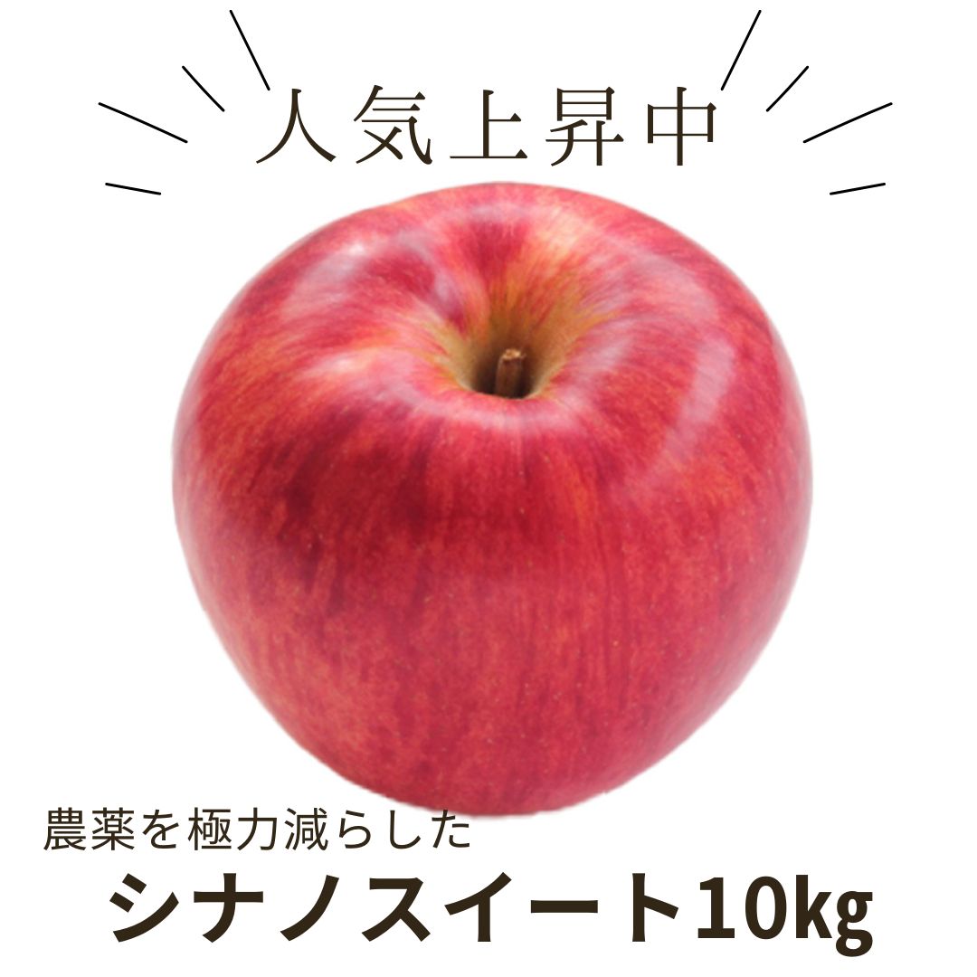 【信州】シナノスイート 10㎏(10月後半発送開始予定)