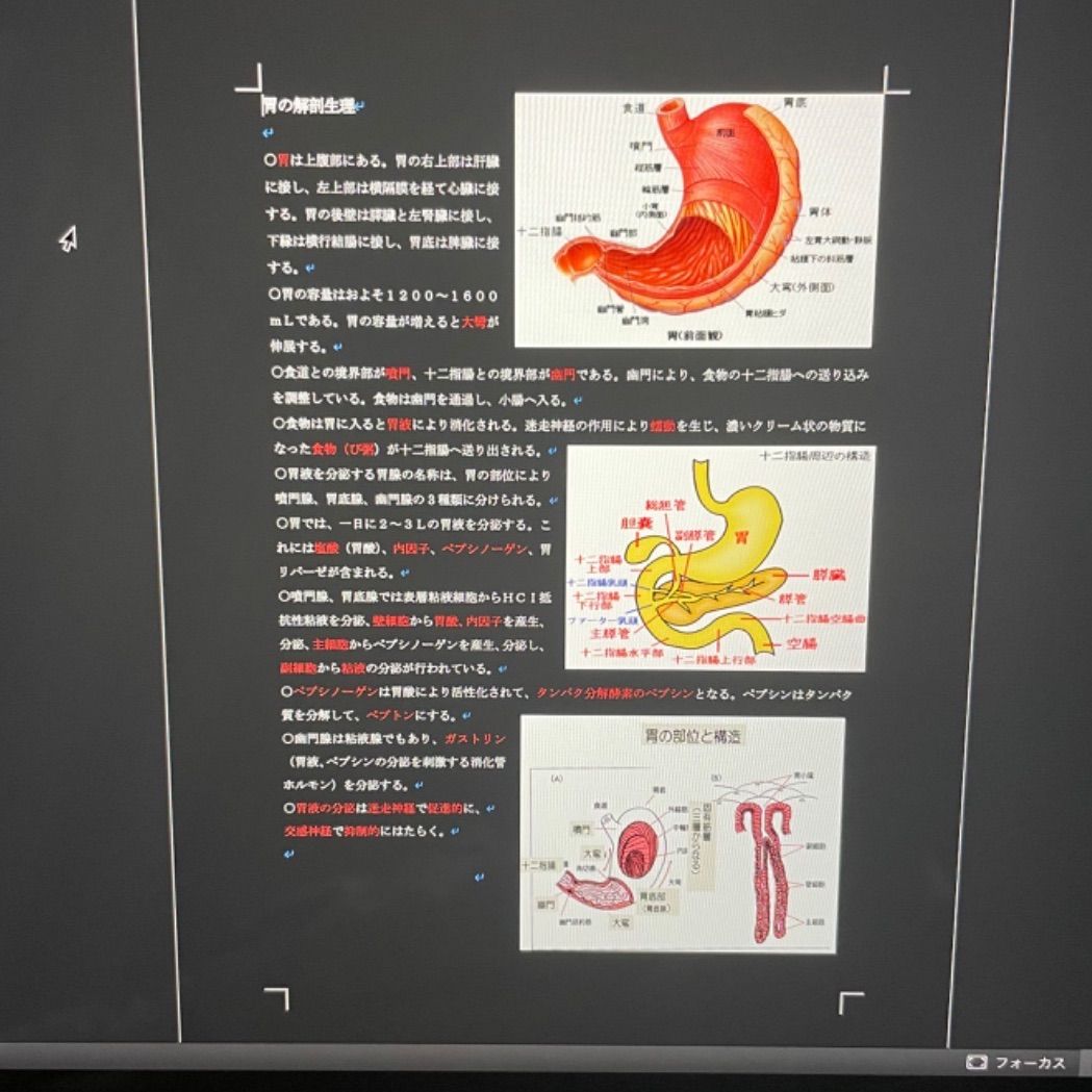 メルカリショップでも販売中！　大容量　看護学生　看護師の為の秘密のUSB 看護学生・看護師の為の秘密データ - メルカリ