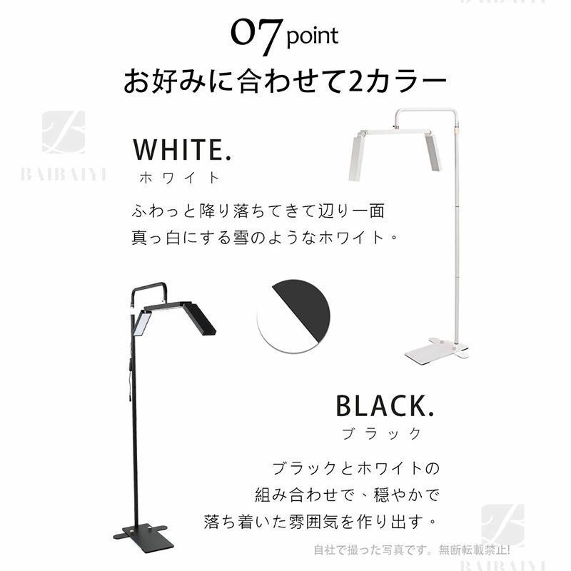 化粧ライト