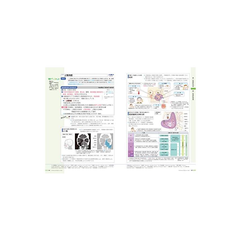 病気がみえる vol.13 耳鼻咽喉科 第1版 1 - メルカリ