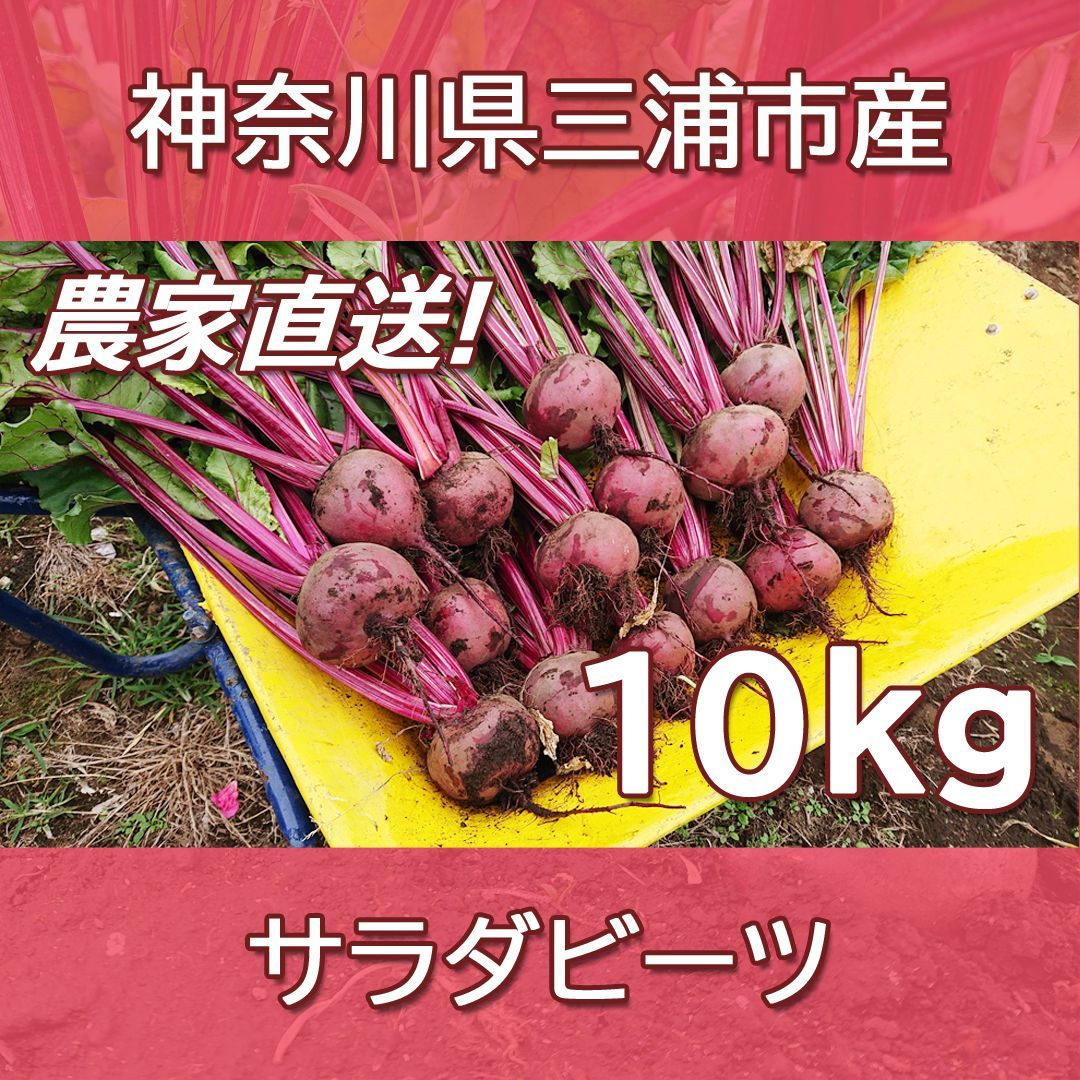 農家直送 健康野菜 サラダビーツ 10kg