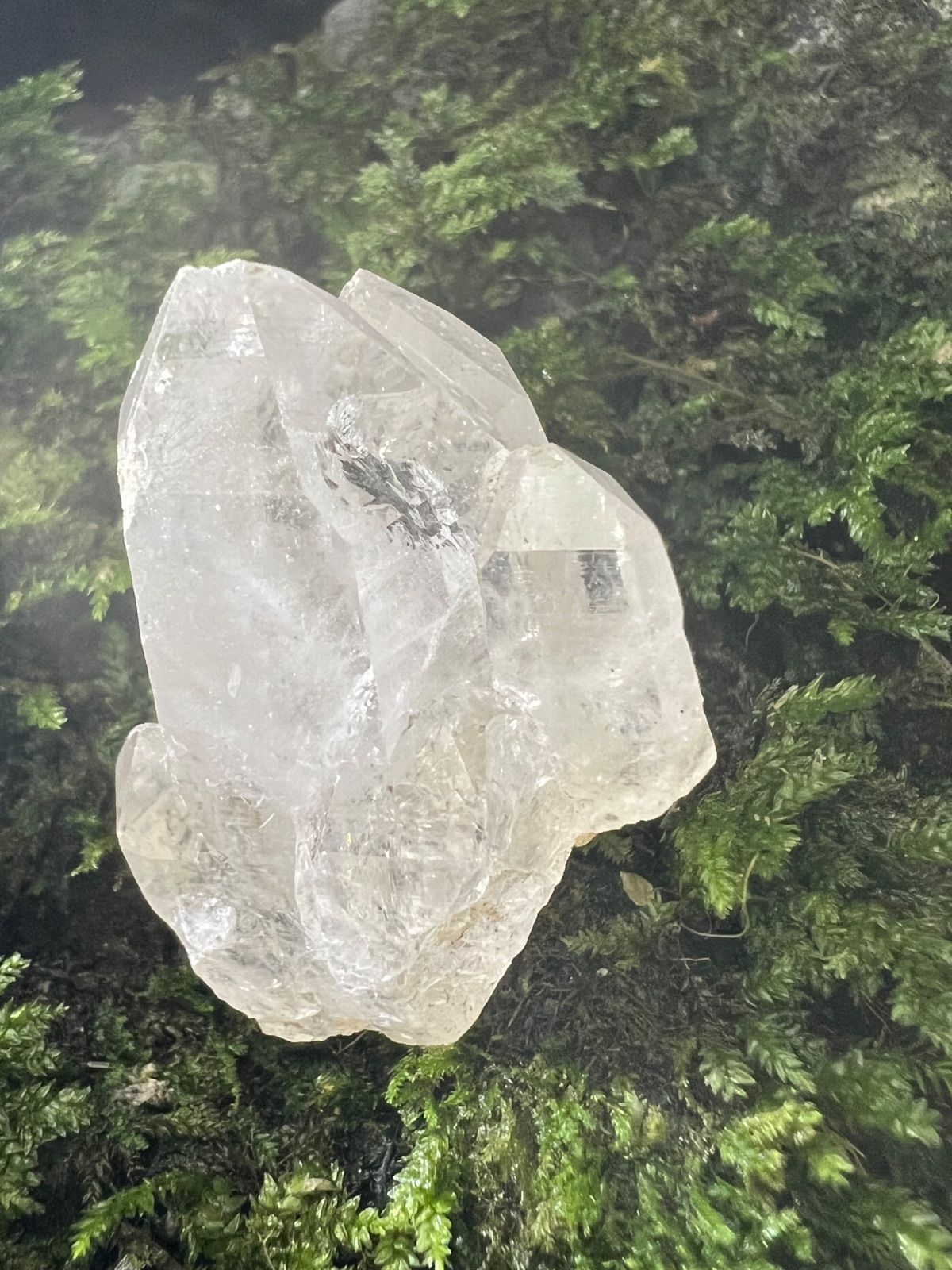 龍脈の精髄 虹入りカテドラル水晶 「純白の守護」（売上の一部は保護猫活動に使用） 龍脈の精髄 ― 虹入りカテドラル水晶 「純白の守護と浄化の光